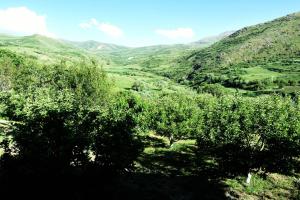 Afbeelding uit fotogalerij van Gnishik Eco Resort in Gnishik