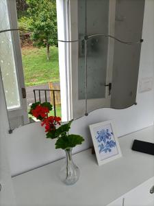 a vase with flowers on a counter with a mirror at O Chaleco in San Ciprián +22 photos