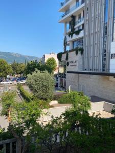 Gallery image of Guest house Kamelija in Budva