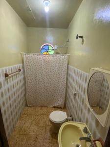 a bathroom with a toilet and a sink and a mirror at Casa para temporada - Praia de Alcobaça - Bahia - em frente ao Condomínio Gaivotas in Alcobaça