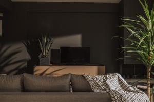 TV a/nebo společenská místnost v ubytování YaMa Villas