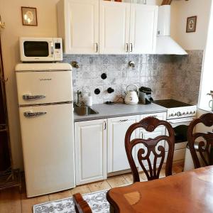 W kuchni znajduje się biała lodówka i kuchenka mikrofalowa. w obiekcie Zlatá léta - apartmánový dům Jáchymov w mieście Jáchymov