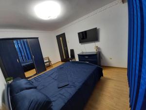 a bedroom with a blue bed and a television at ALMA Apartament in Piatra Neamţ
