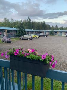 a planter of flowers on a fence with a parking lot at Motel de l'anse in Port-Daniel