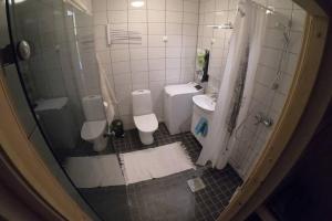 La salle de bains est pourvue de 2 toilettes, d'un lavabo et d'une douche. dans l'établissement Saunallinen kaksio, asunto Kolin Kolo, à Kolinkylä