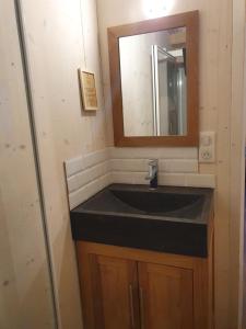 La salle de bains est pourvue d'un lavabo noir et d'un miroir. dans l'établissement TINY HOUSE Cosy 1 - Angers Green Lodge, à Angers