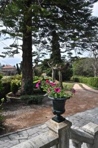 Zahrada ubytování Hotel Rural La Raposera