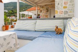 a dog standing on a blue couch on a patio at Fotis Studios in Skopelos Town