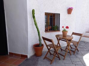 een patio met een tafel en stoelen en een cactus bij Cueva de Manuela in Guadix