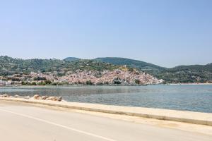 un grupo de animales tirados al lado de un lago en Fotis Studios en Skopelos Town