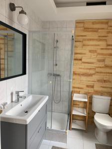 Vannituba majutusasutuses Hollik Apartmanház +37 fotot