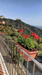uma varanda com flores vermelhas numa colina em “Sa Scala” Bed&Terrace em Baunei