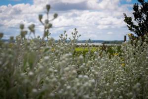 Paesaggio naturale nelle vicinanze del bed & breakfast