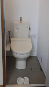 ein Bad mit einem WC und einem Paar Hausschuhen in der Unterkunft Irumoteso in Iriomote