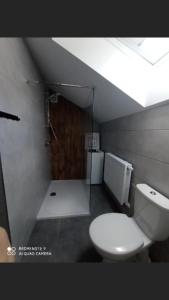 a bathroom with a white toilet and a shower at Apartament Nad Jeziorem Ewa in Nadole +20 photos