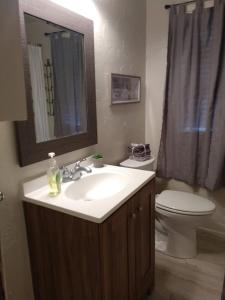 ein Badezimmer mit einem Waschbecken, einem WC und einem Spiegel in der Unterkunft Lake View Cottage on Lake Erie in Ashtabula