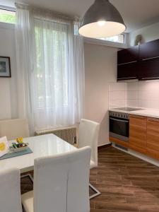 Kuchyňa alebo kuchynka v ubytovaní Nagyerdei Rózsahegy 1 Apartman Greatforest Rosehill 1 Apartment