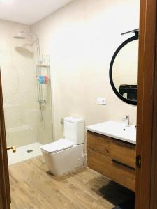 a bathroom with a toilet and a sink and a shower at ROSALES Apartamento y jardín in Oviedo +19 photos