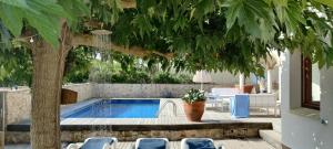 a swimming pool with a tree and chairs around it at Villa Mas Sopes in Sant Pere Pescador