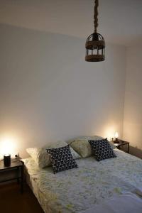 - une chambre avec un lit et 2 oreillers dans l'établissement Simina kuća, à Bajina Bašta