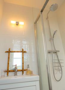 a bathroom with a shower and a sink at La Maison du Haut in Tonnerre