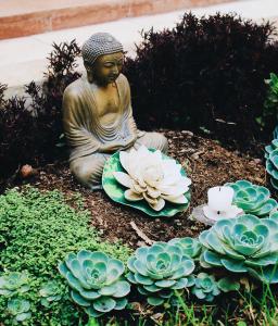 a statue of a buddha sitting next to some plants at Ganesha Hotel in San Cristóbal de Las Casas