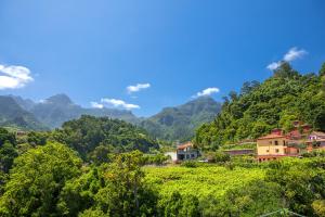 Gallery image of Vila do Largo by Madeira Sun Travel in São Vicente