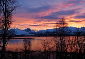 Foto da galeria de Håkøya Lodge em Tromsø