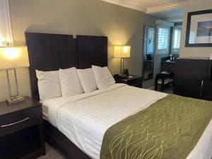 Postel nebo postele na pokoji v ubytování Hi View Inn & Suites