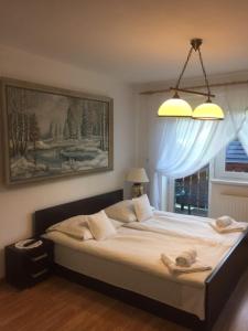 1 dormitorio con 1 cama grande y ventana en Willa Panorama, en Szczyrk