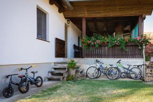 three bikes parked outside of a house with flowers at Farmstay Kotić in Slunj