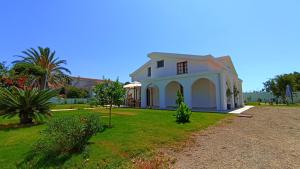 una casa bianca con una palma e un cortile di DOMU NOSTA di Giulio & Ignazia Room2 a Santa Luria