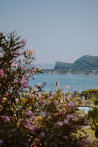a view of a body of water with pink flowers at Villa Schindler in Manerba del Garda