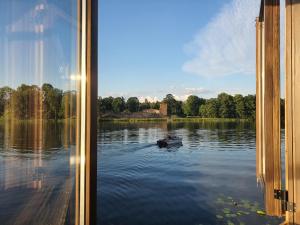 a window view of a person in a boat on a lake at Mr.Banga in Alūksne