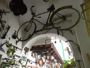 Jízda na kole v ubytování Casa Museo Jerez Centro nebo okolí + 37 fotografií