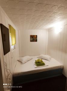 a small white room with a bed with a tv at Pontonul lui Cristian in Mahmudia