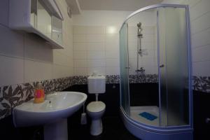 a bathroom with a sink and a shower and a toilet at Mima in Sveti Juraj