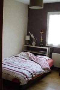 1 dormitorio con cama y ventana en Chambre chez l'habitant en Valence