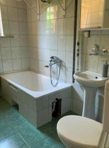 a bathroom with a tub and a toilet and a sink at Bieszczadzki dom nad stawem in Ropienka