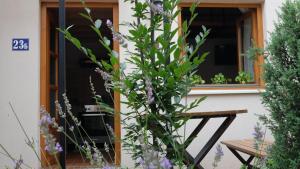 a plant with purple flowers in front of a house at Kompleks apartmana SuperStar23A in Soko Banja