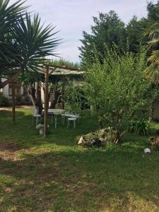 Vonkajšia záhrada v ubytovaní Villa Daniela - Appartamento in villa