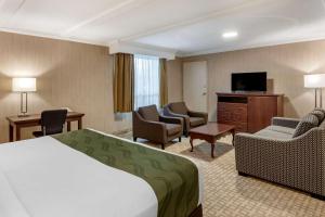 a hotel room with a bed and a television at Quality Inn & Conference Centre Midland in Midland