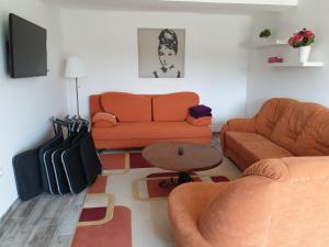 a living room with a couch and a table at Adri Apartman in Zalakaros