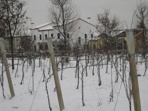 una fila de árboles en la nieve frente a una casa en Villa Gaudio, en Ponte San Nicolo