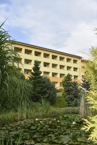 a large building with a pond in front of it at Ubytování Hanka v hotelovém pokoji C408 in Frymburk