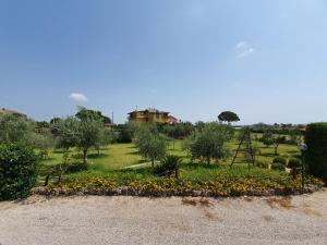 A garden outside Home 123