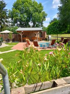 einen Hinterhof mit einem Pool und einem Pavillon in der Unterkunft 4 Ferienwohnungen ab 1 bis 7 Schlafzimmer mit Sommerpool in Heinsdorfergrund