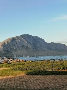 a mountain in the distance with a body of water at Just Chill Betty's Bay in Bettyʼs Bay