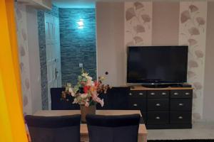 TV a/nebo společenská místnost v ubytování Charmante petite maison