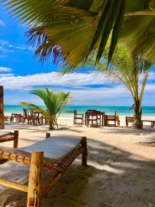 una playa con muchas mesas y sillas en la playa en Simba Beach Zanzibar, en Kiwengwa